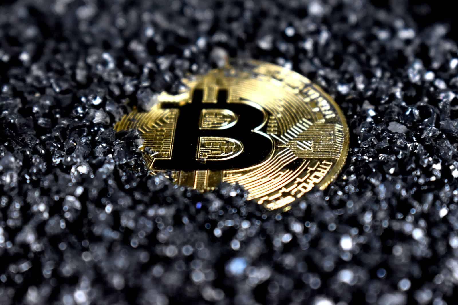 Upshot 22m Series Polychain Capitalbetzcoindesk