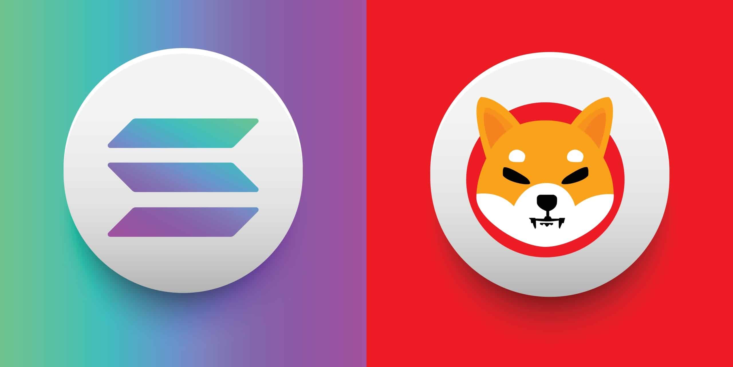 Shiba Salona December Solmalwacoindesk