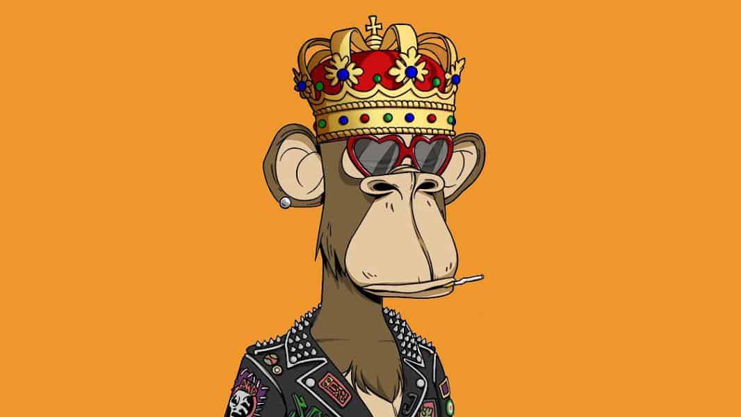 Ape Yacht Club Apehaywarddecrypt