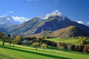 Landscapes