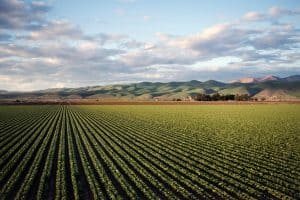 Agricultural 