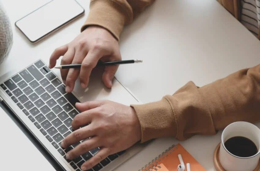  How can a business properly calculate the budget for professional SEO, and what steps should be taken?